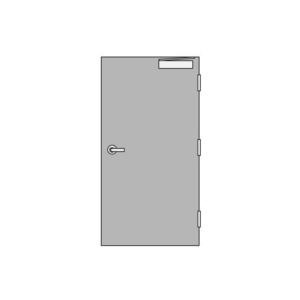 Flush Door